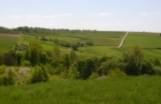 Bodzechów