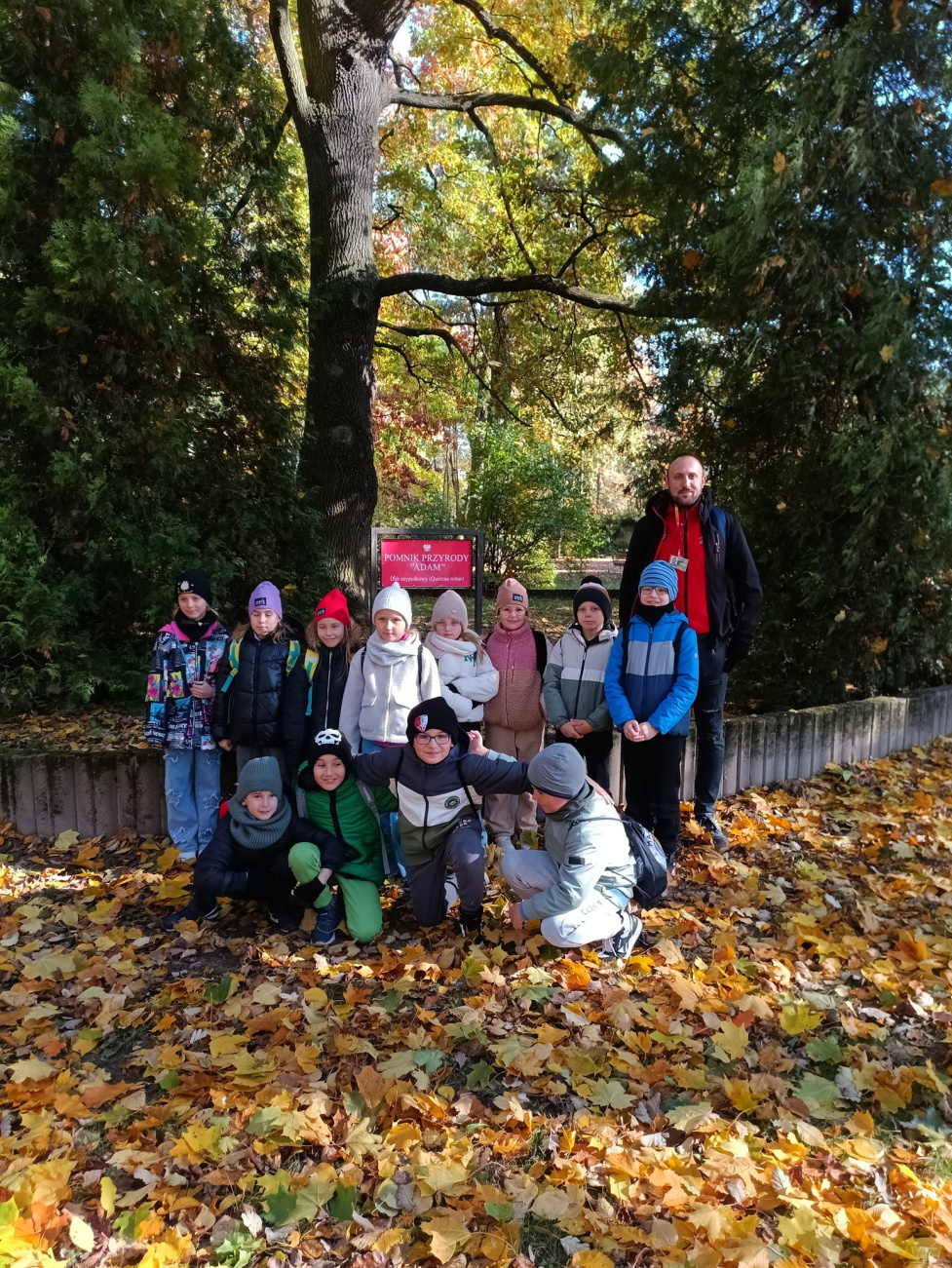 Spacery Tyczyńsko-Królewskie