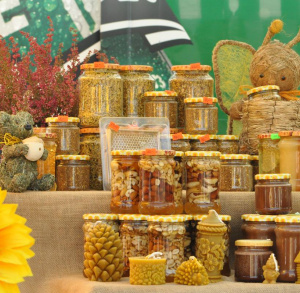 Świętokrzyskie Święto Pszczoły w Bałtowie