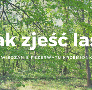 Jak zjeść las? Zwiedzanie rezerwatu Krzemionki