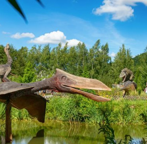 Wyloguj się na Majówkę w Bałtowskim Kompleksie Turystycznym