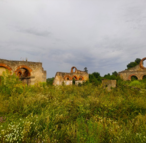 Ruiny starej walcowni w Nietulisku Dużym