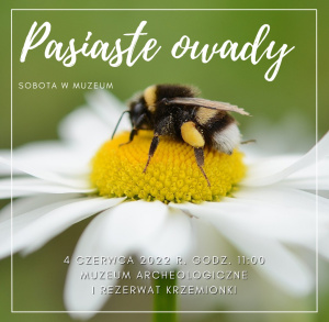 Pasiaste owady – niezwykłe warsztaty w Krzemionkach