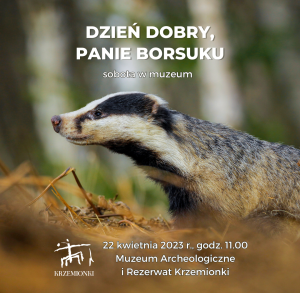 Dzień dobry, panie borsuku - sobota w Muzeum