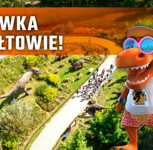 Zabawa na całego, czyli majówka w Bałtowie