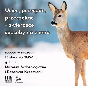 Uciec, przespać, przeczekać – zwierzęce sposoby na zimno sobota w muzeum