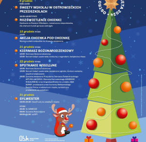SPOTKANIA ŚWIĄTECZNE W NASZYM MIEŚCIE