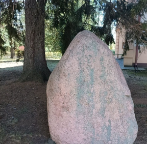 Ostrowiec Świętokrzyski_pomnik przyrody - głaz narzutowy - na terenie Liceum Ogólnokształcącego nr III im. Władysława Broniewskiego w Ostrowcu Świętokrzyskim