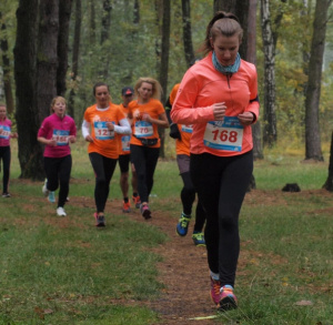 IV MosirGutwinRun2016