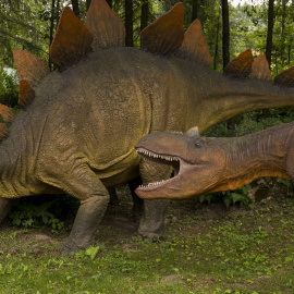JuraPark